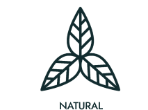 Icono de producto natural